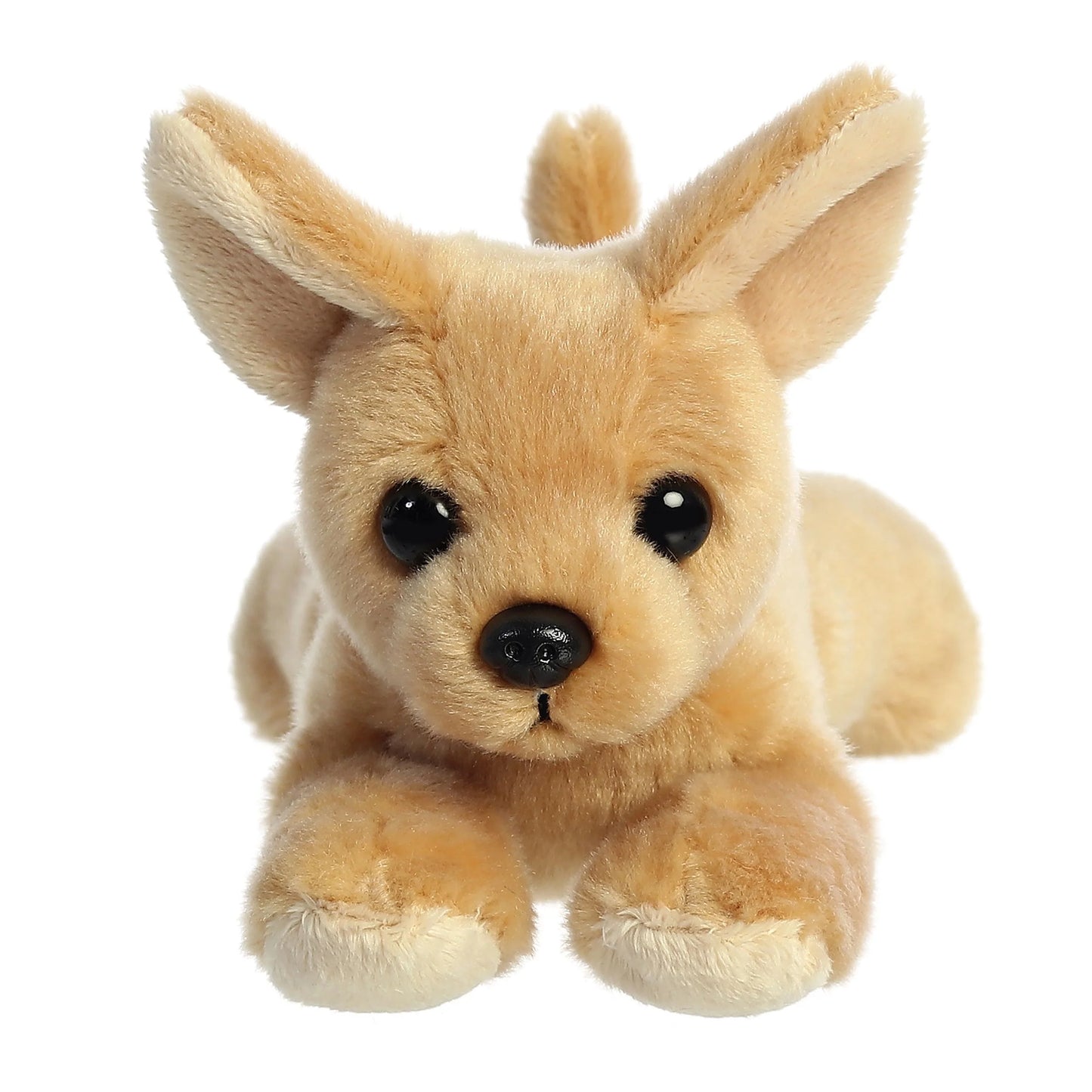 8" Chia Chihuahua