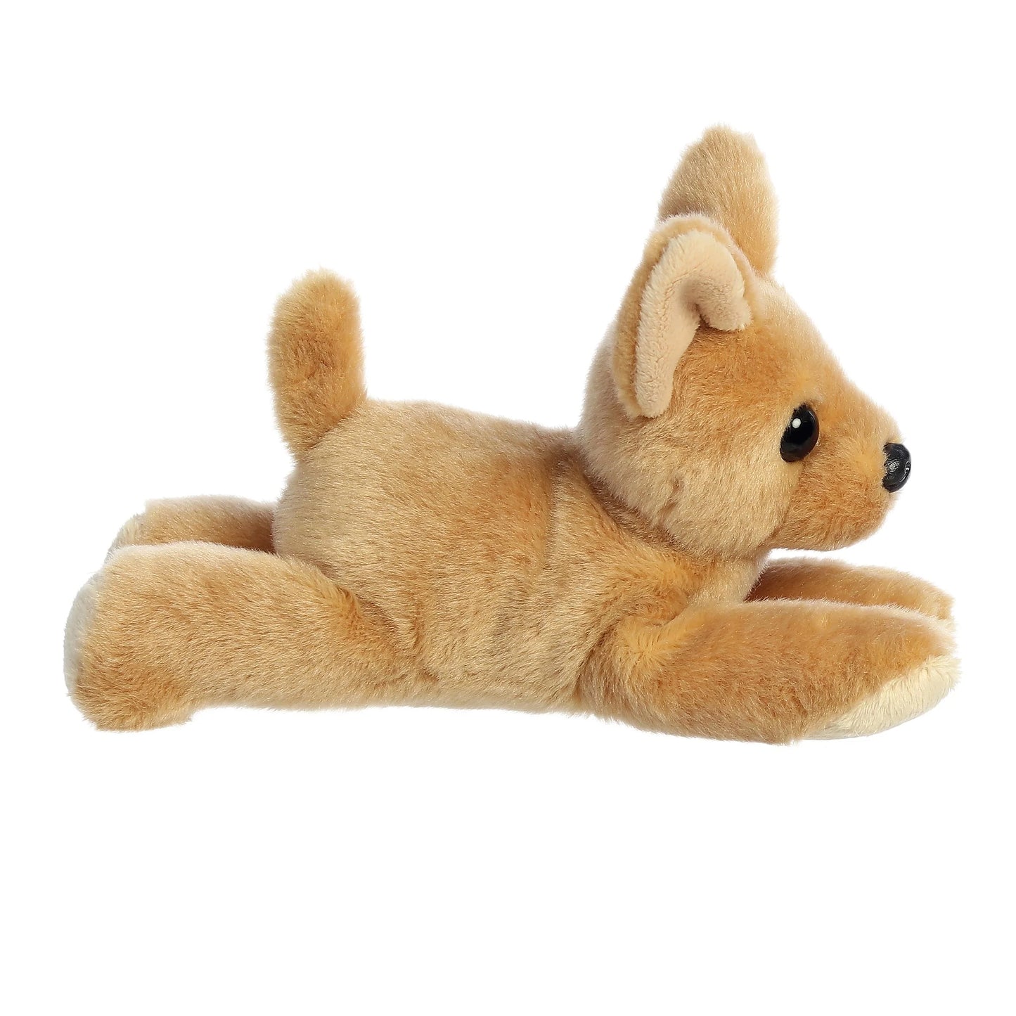 8" Chia Chihuahua