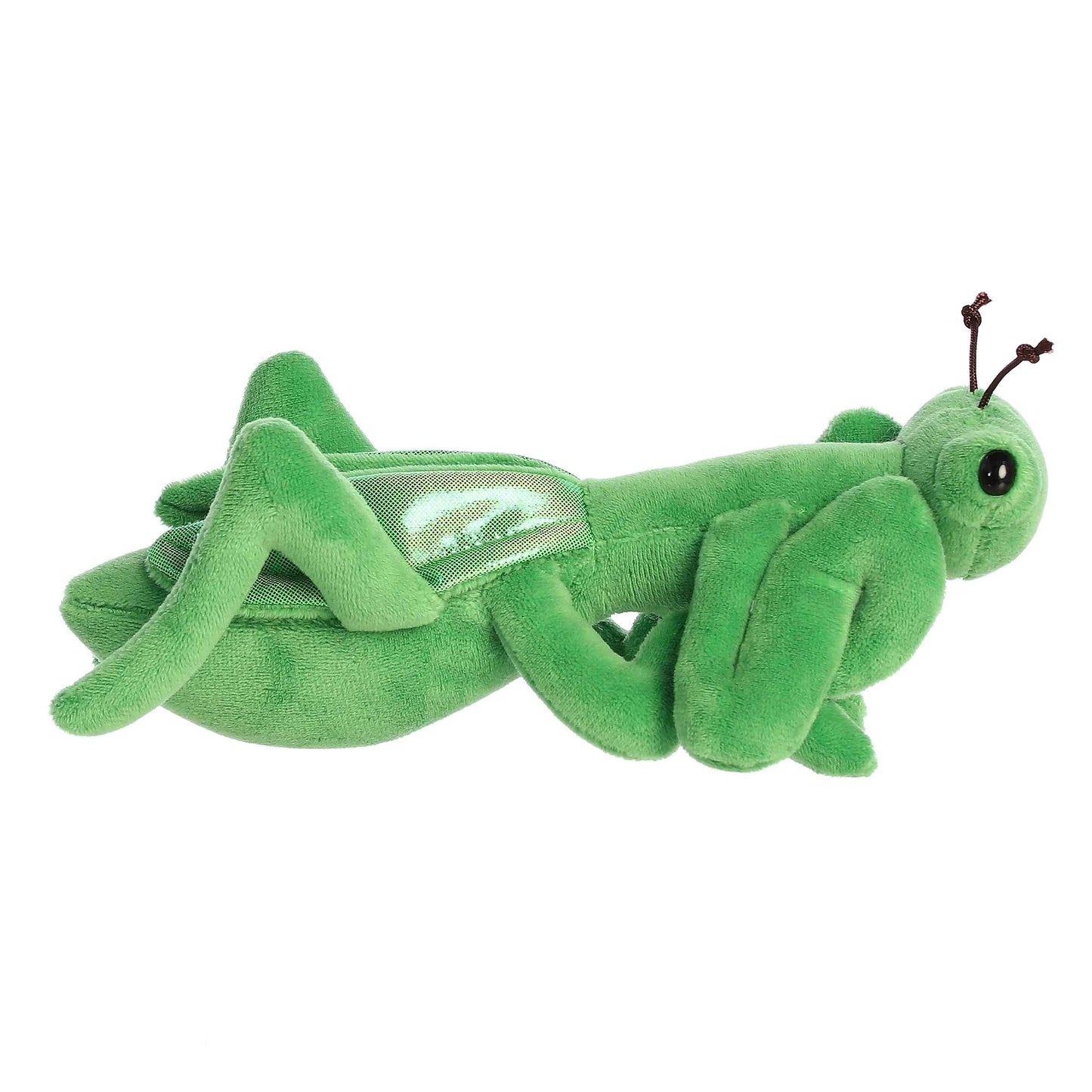 8" Mia Praying Mantis