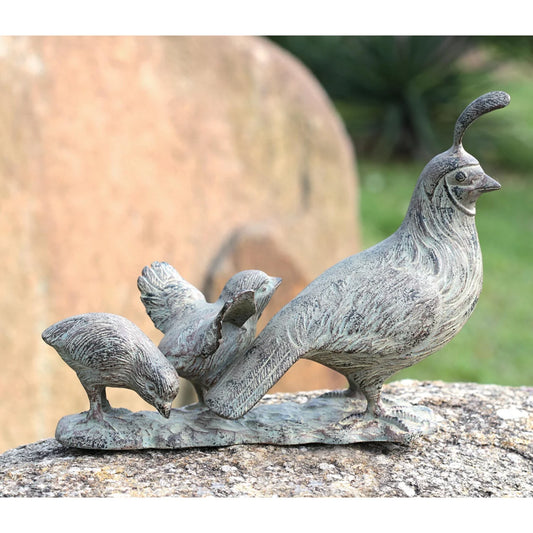 Quail Family