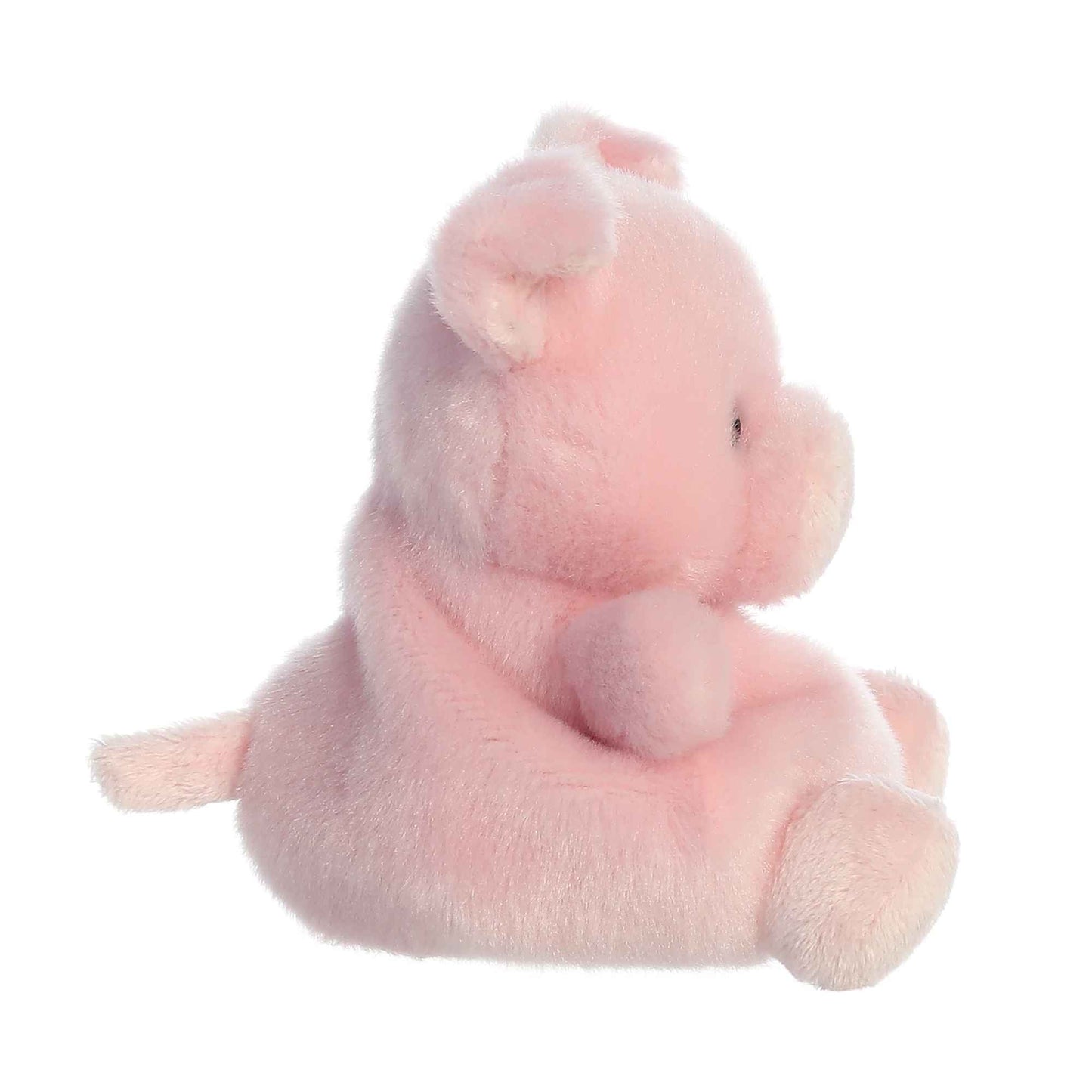 Palm Pals - 5" Wizard Pig