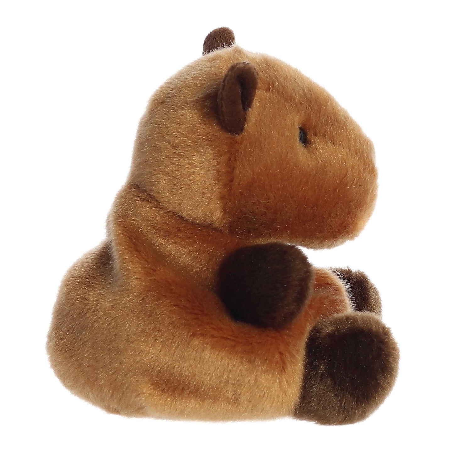 Palm Pals - 5" Sid Capybara
