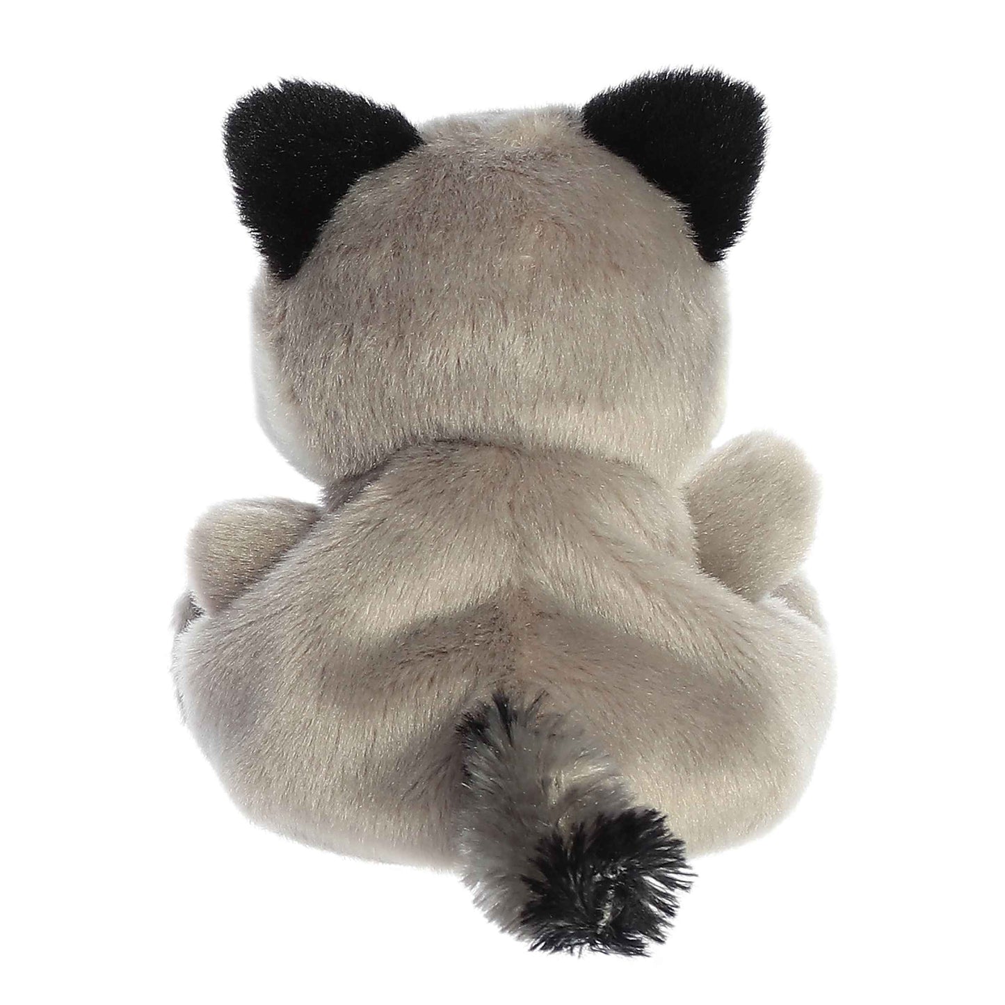 Palm Pals - 5" Rascal Raccoon