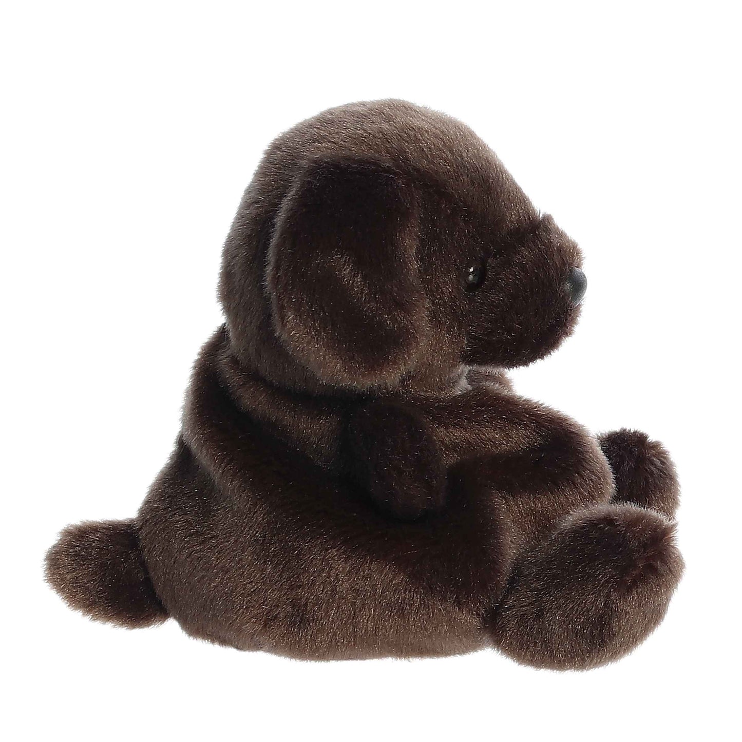 Palm Pals 5" Sienna Chocolate Lab