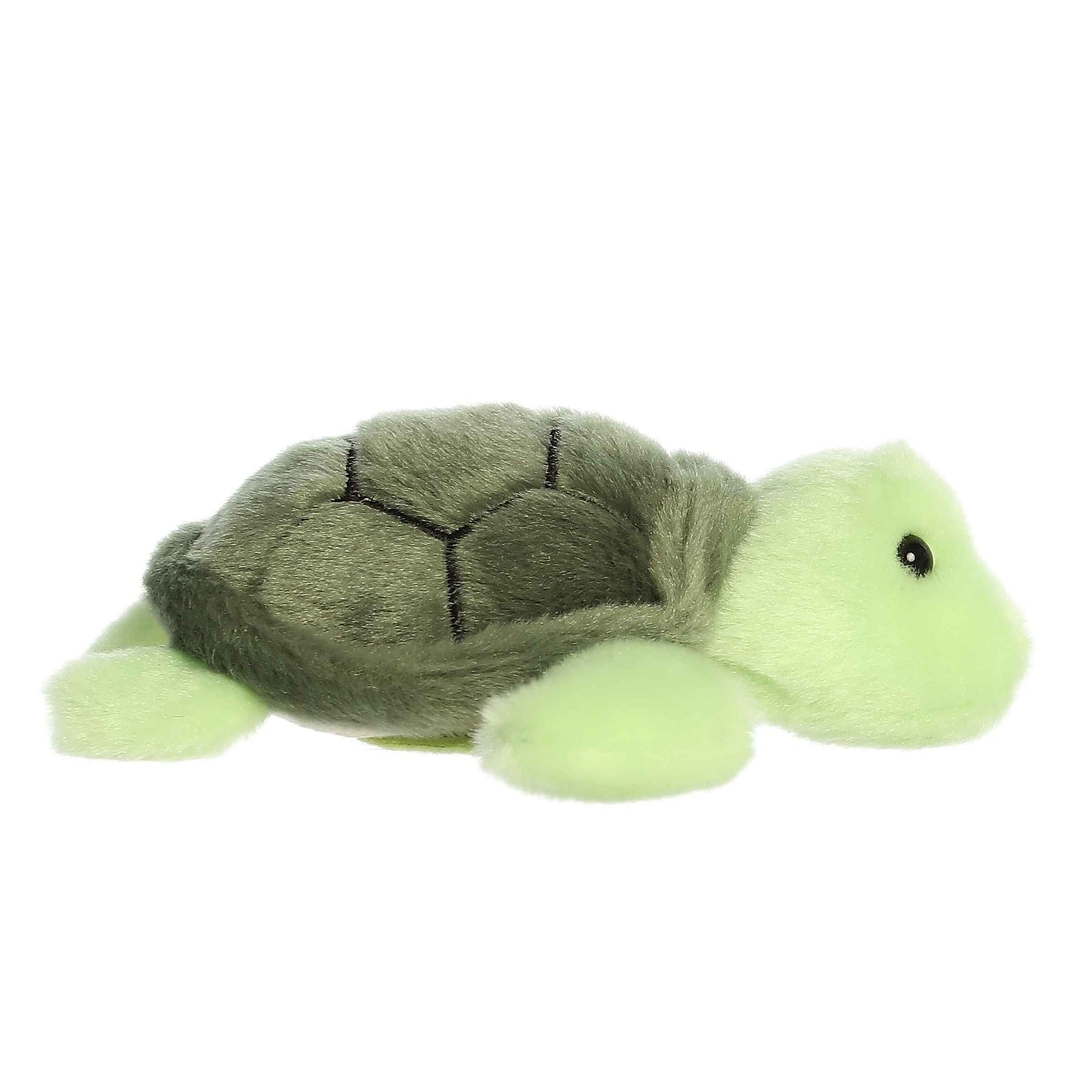 Shoulderkins - 5.5" Saavy Sea Turtle
