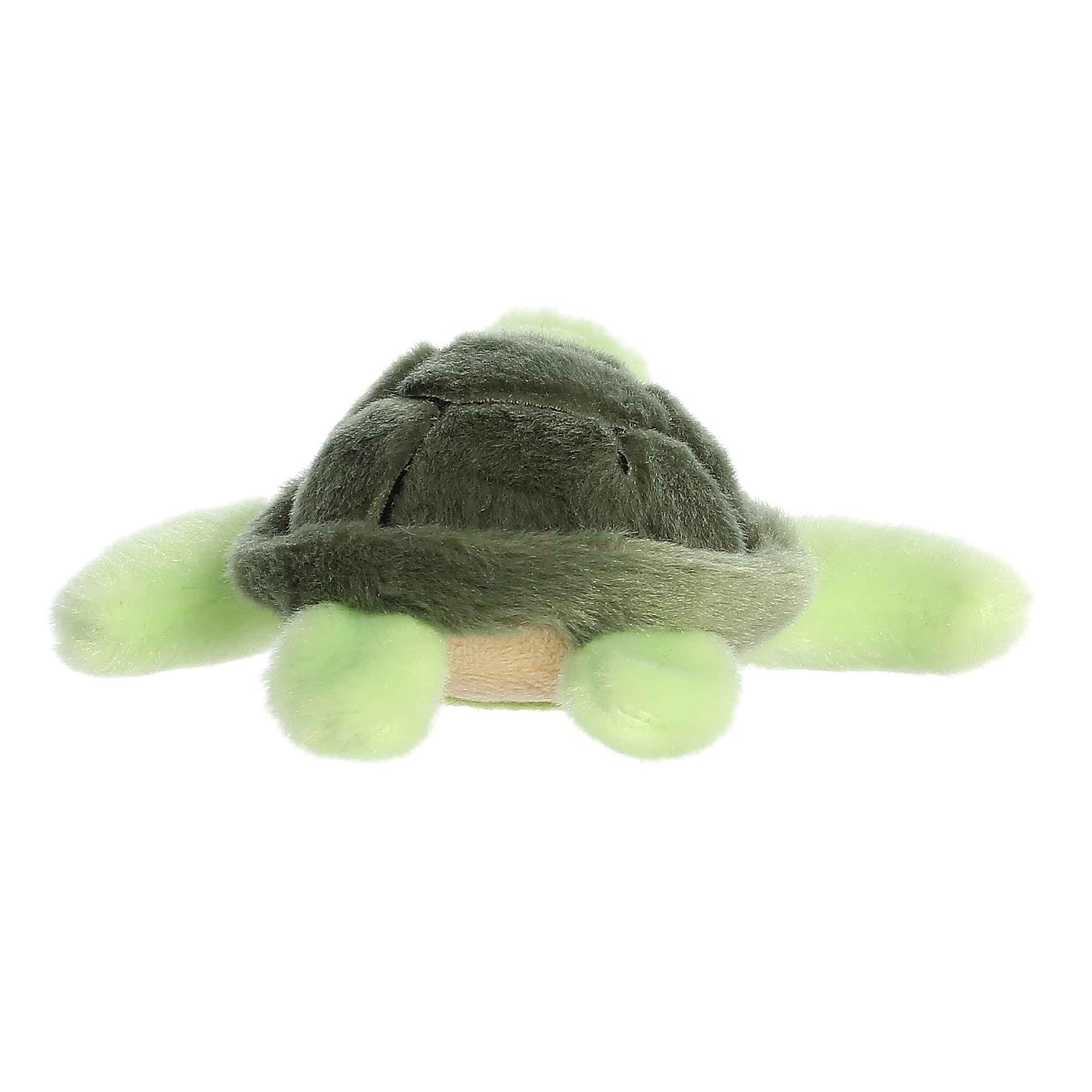 Shoulderkins - 5.5" Saavy Sea Turtle