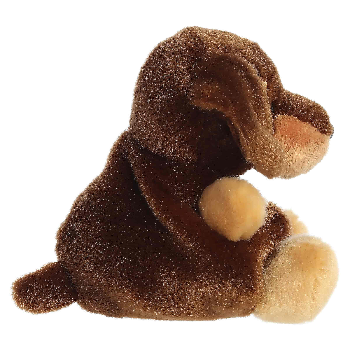Palm Pals 4.5" Houdini Dachshund