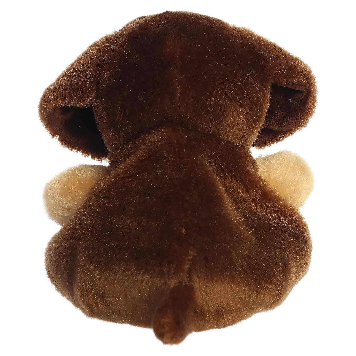 Palm Pals 4.5" Houdini Dachshund