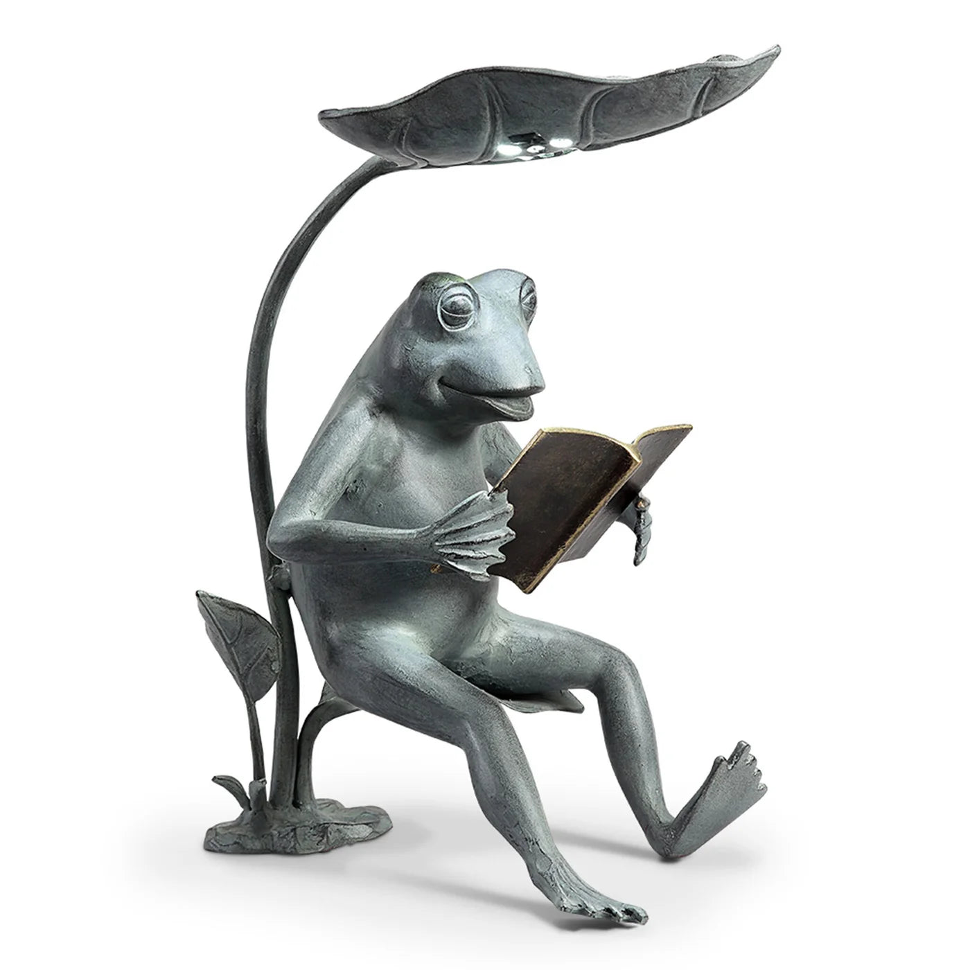 Reading Frog Birdfeeder With LED Light