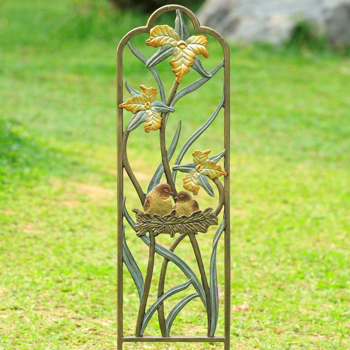 Narrow Lovebirds In Nest Trell