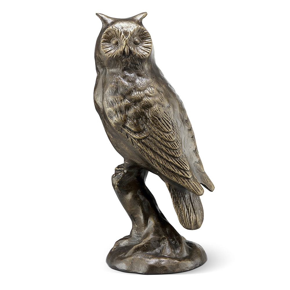 Thoughtful Owl on Branch