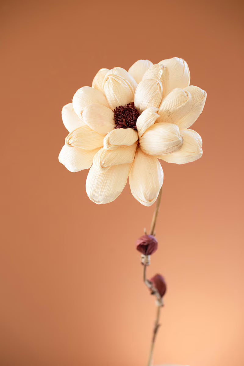 Camilia Set of 12 Cornhusk Botanicals on a Bamboo Stem