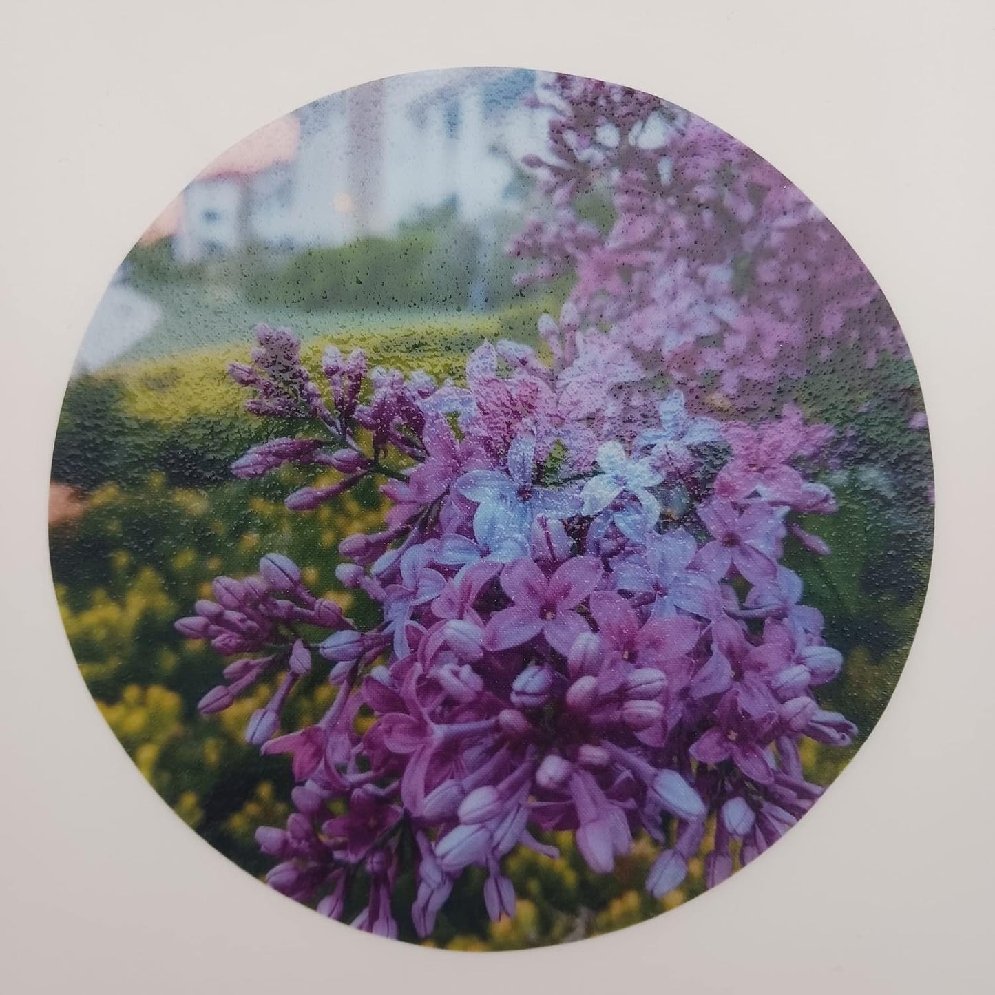 Lilac 440