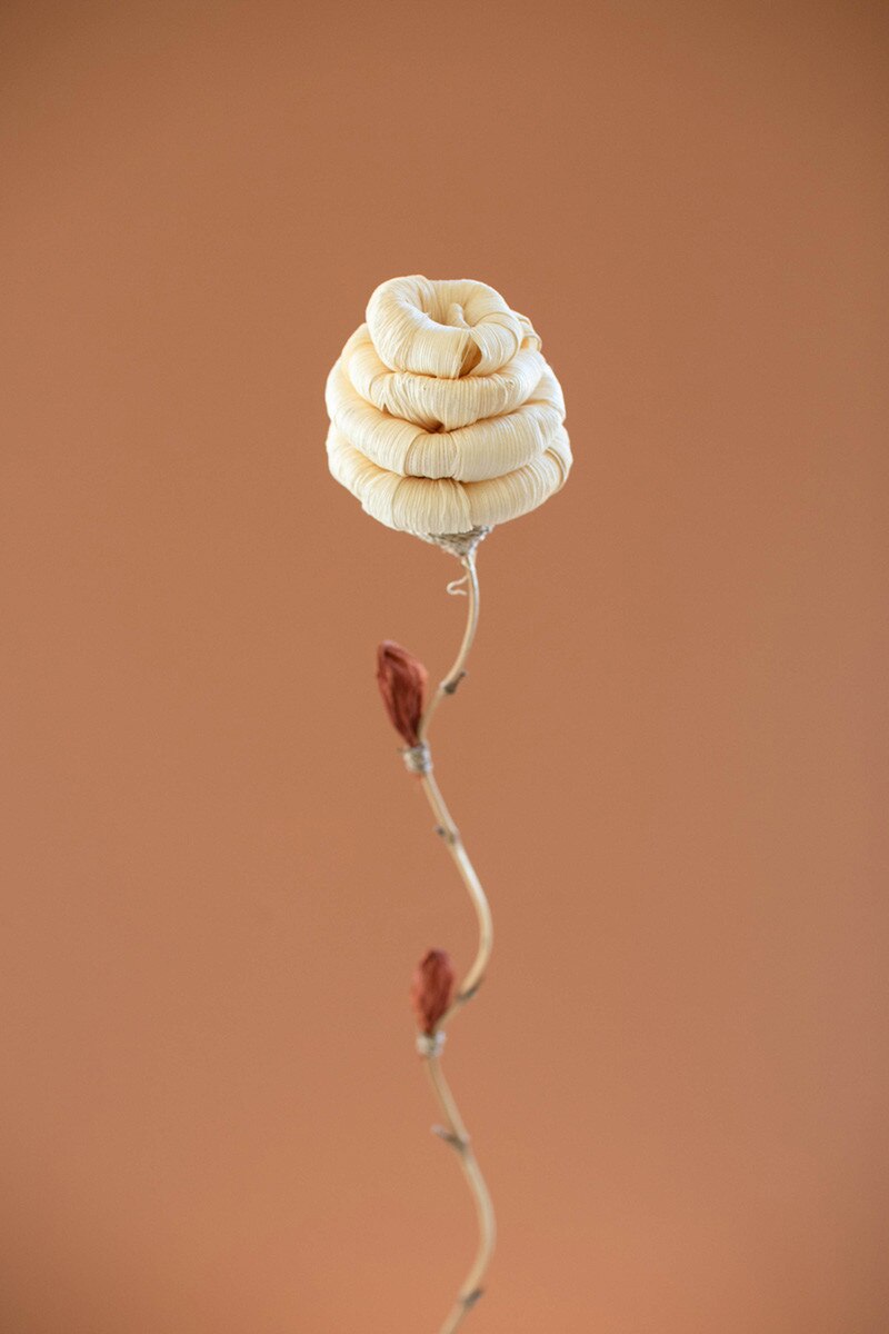 Hive Set of 12 Cornhusk Botanicals on a Bamboo Stem