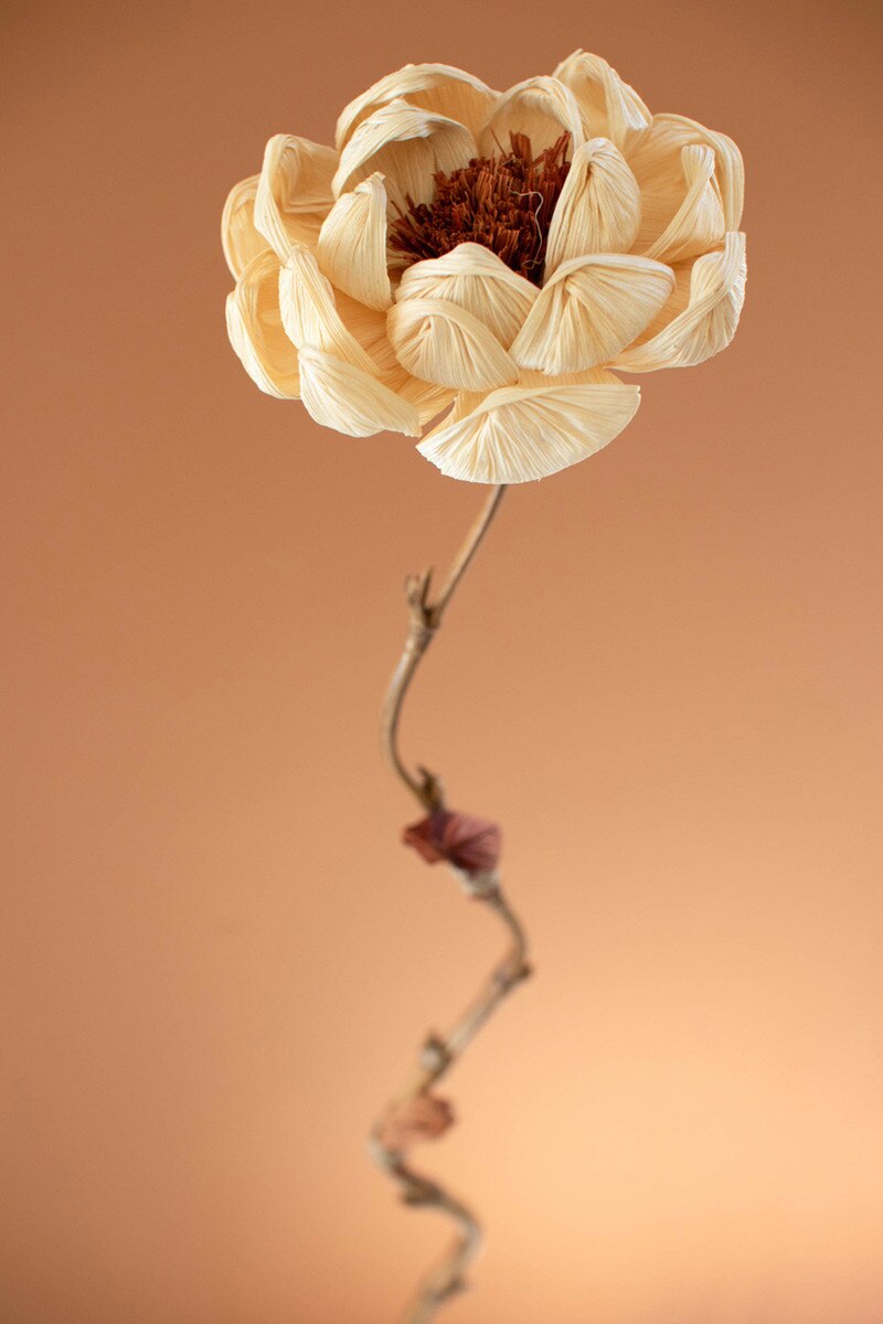 Magnolia Set of 12 Cornhusk Botanicals on a Bamboo Stem