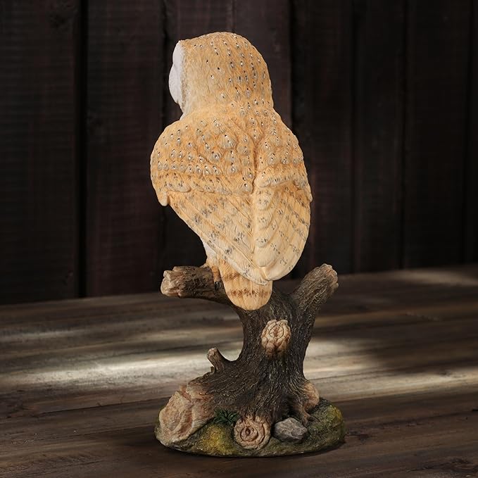Barn Owl Standing On Branch