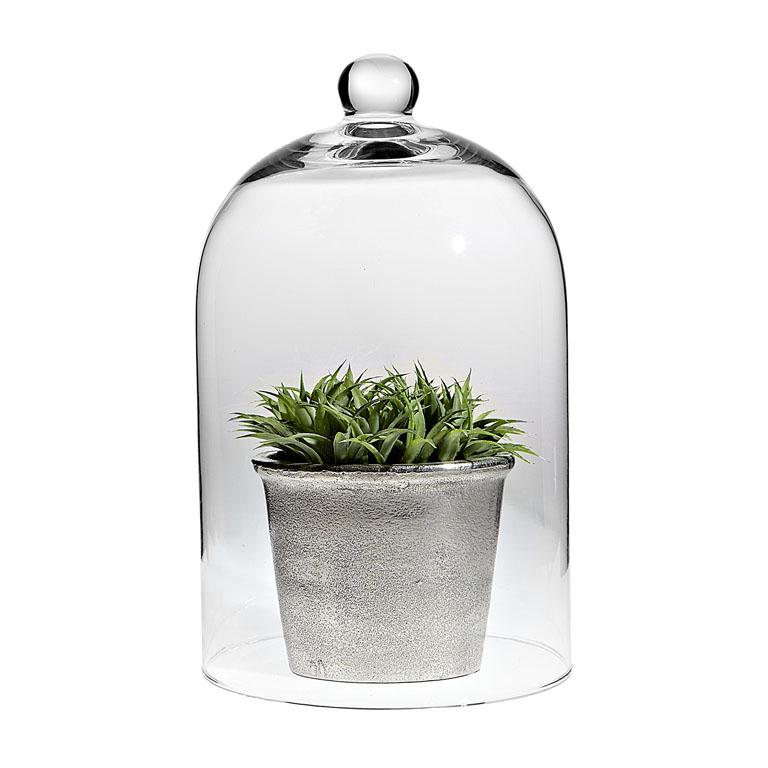 Classic Shaped Cloche