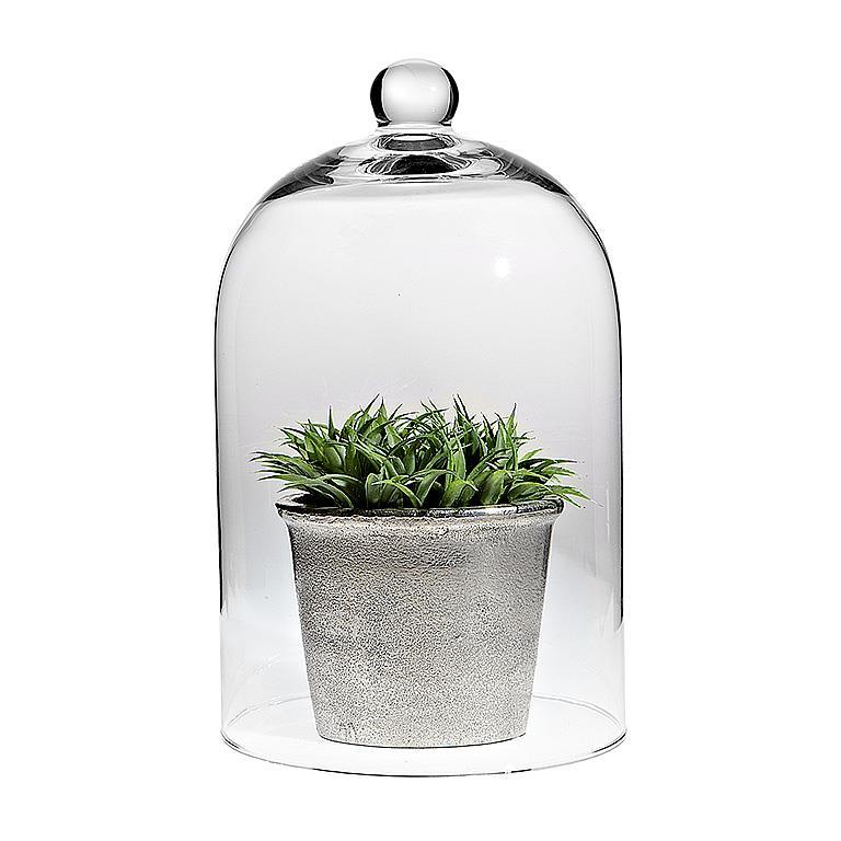 Classic Shaped Cloche