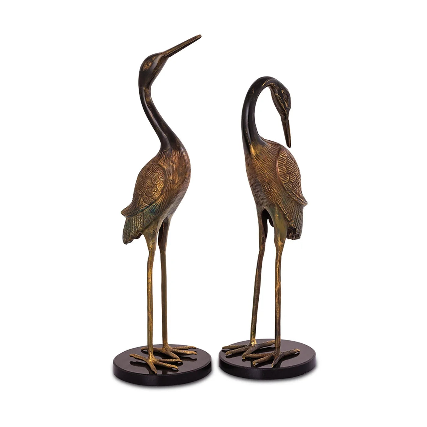 Heartwarming Crane Couple