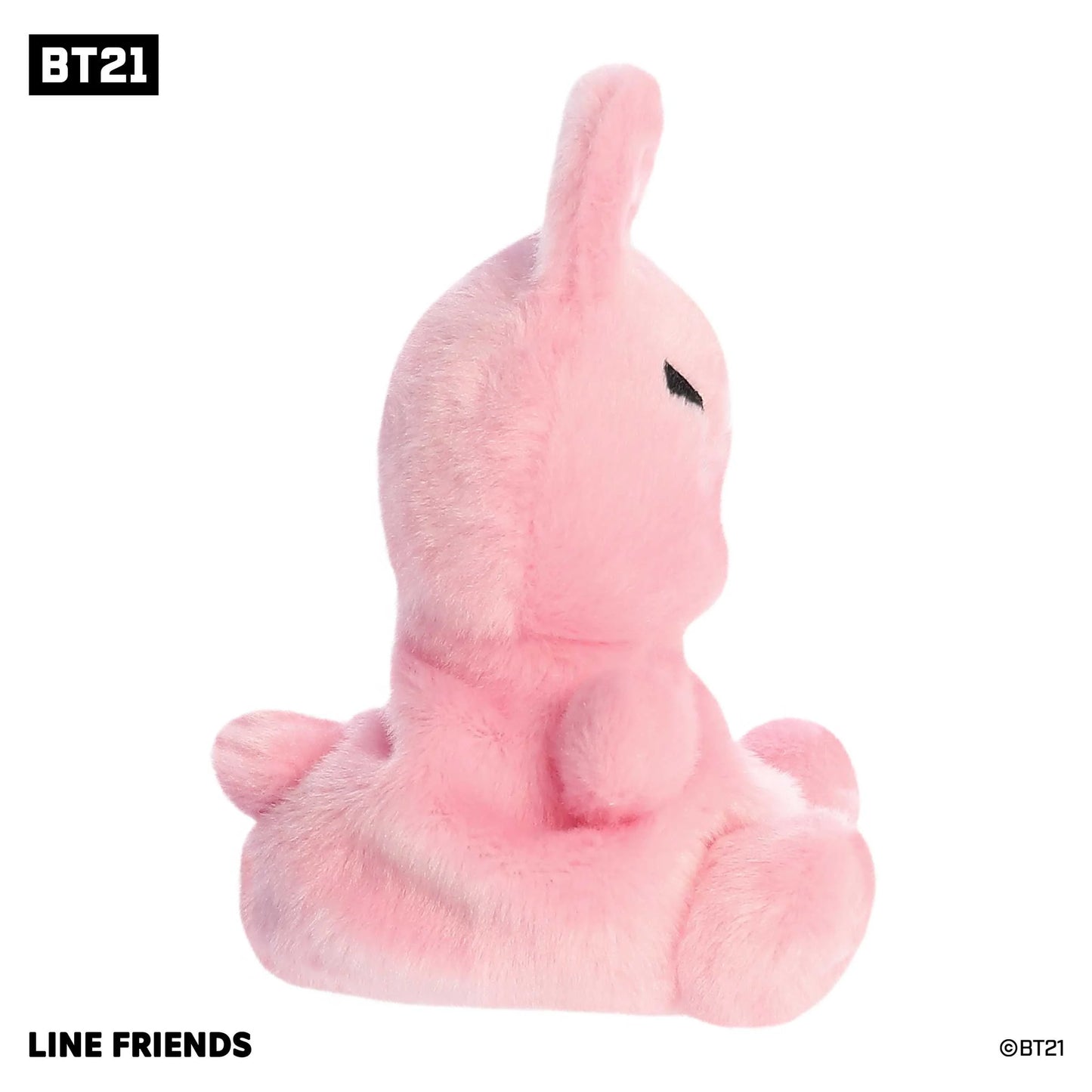 BT21 - Palm Pals - 5" COOKY