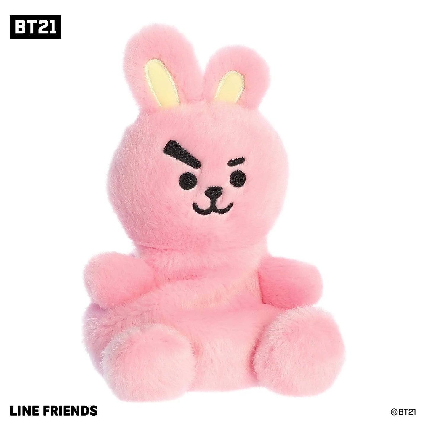 BT21 - Palm Pals - 5" COOKY