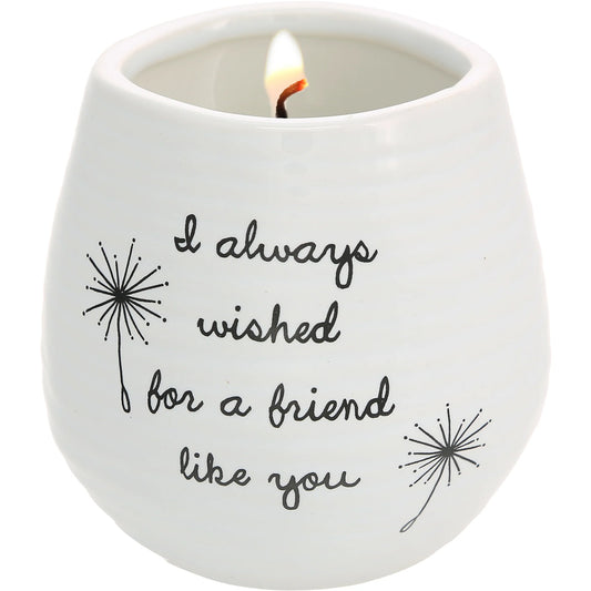 Friend Like You 8 oz - 100% Soy Wax Candle Scent: Serenity