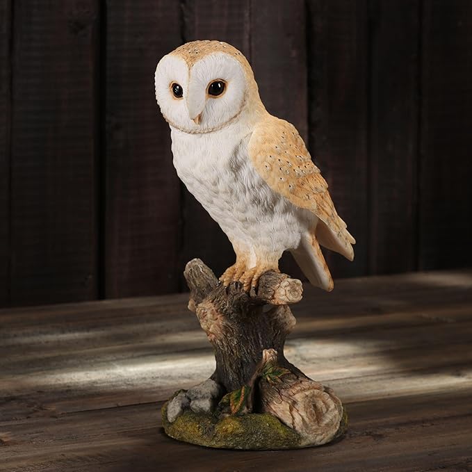 Barn Owl Standing On Branch