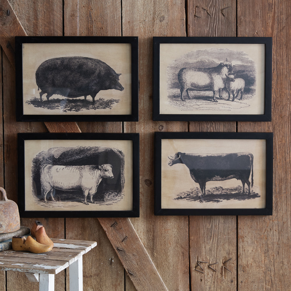 Homestead Framed Canvas - Pig