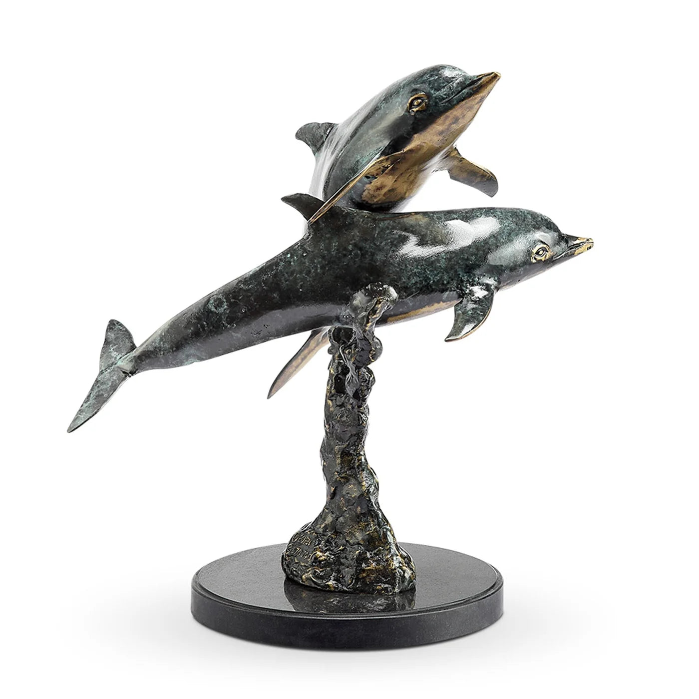 Playful Dolphin Pair