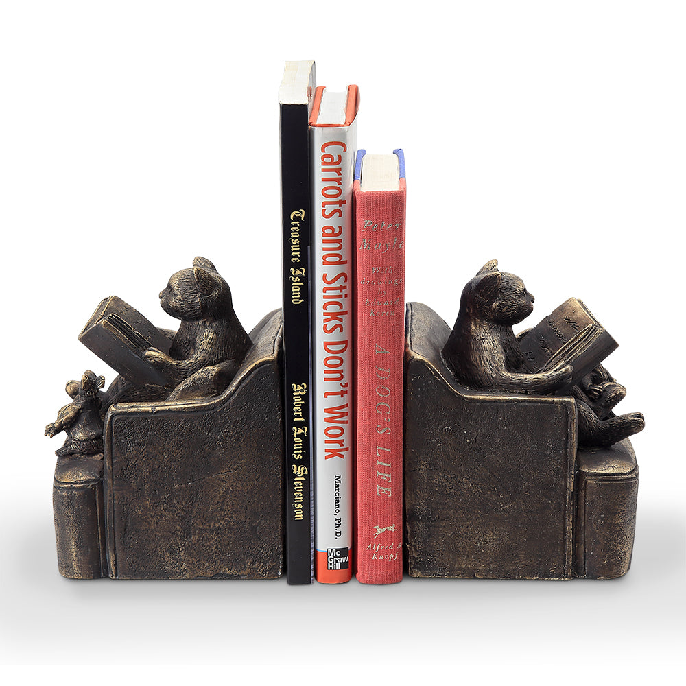 Reading Friends Bookends PR (c