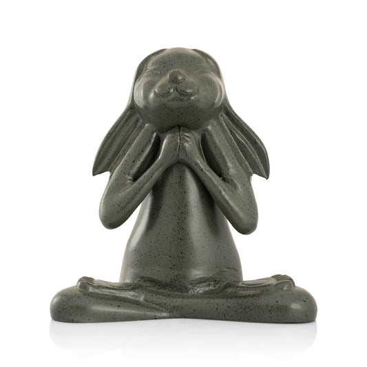 Happy Asana Bunny