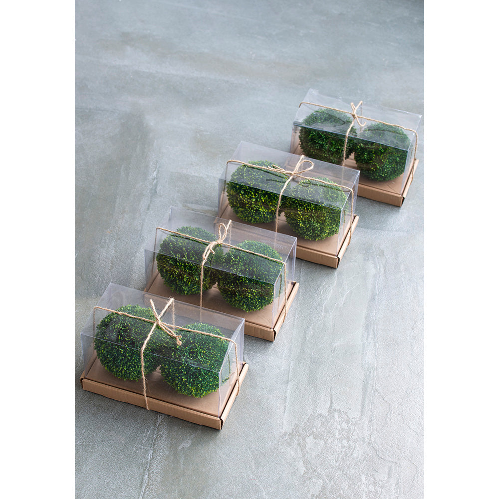 S/2 6" Boxwood Decorative Spheres