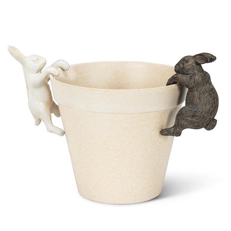 Hanging Rabbit