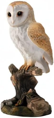 Barn Owl Standing On Branch