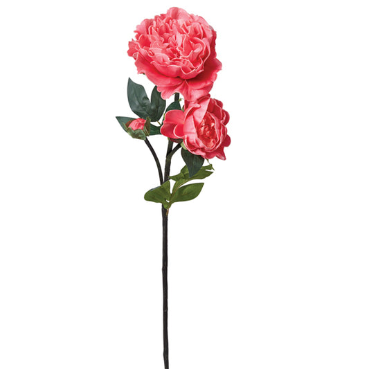 Pink Peony Stem