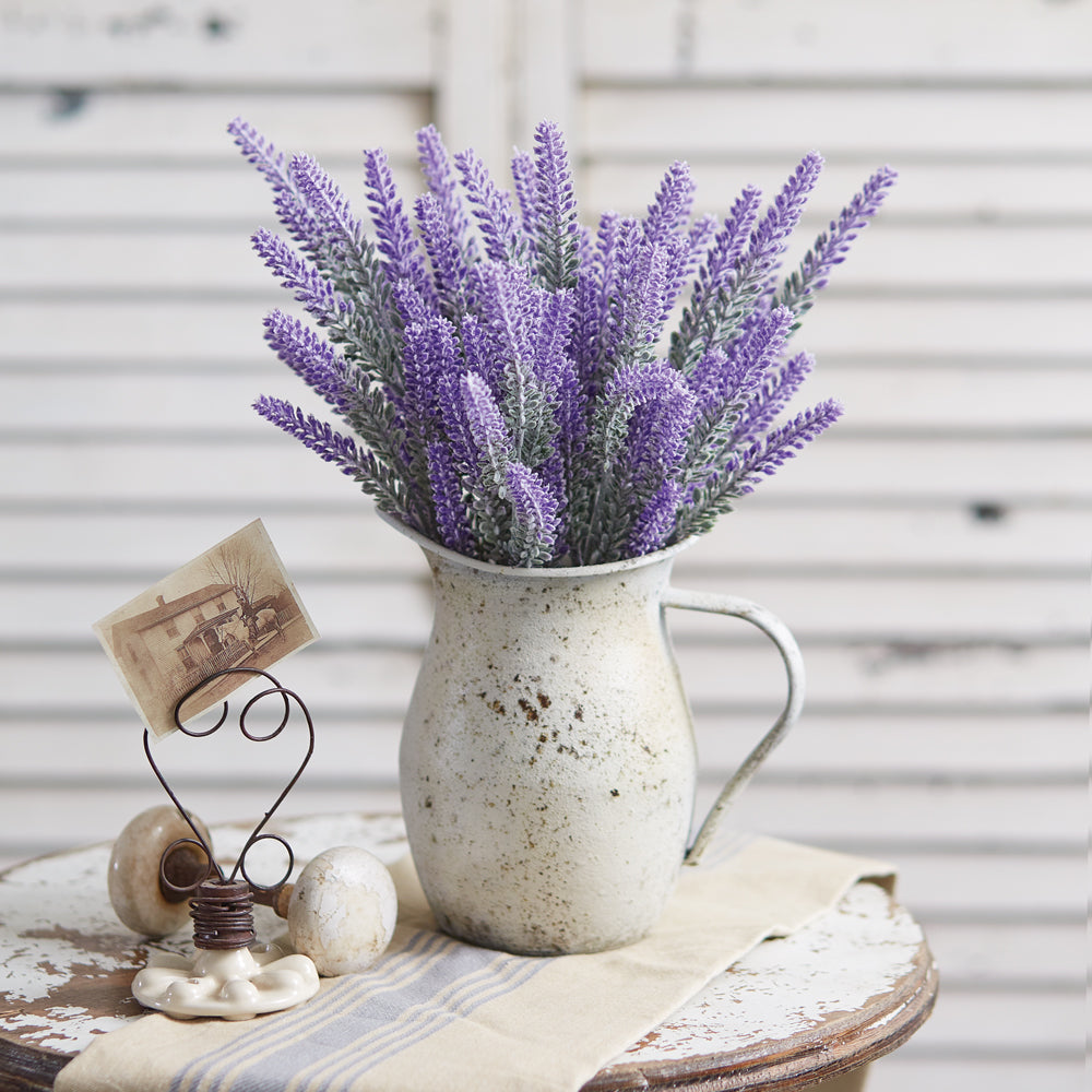Lavender Bush