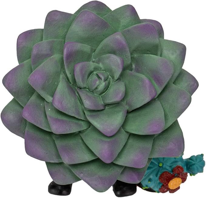 Signature Skeleton in Succulent Cactus Plant