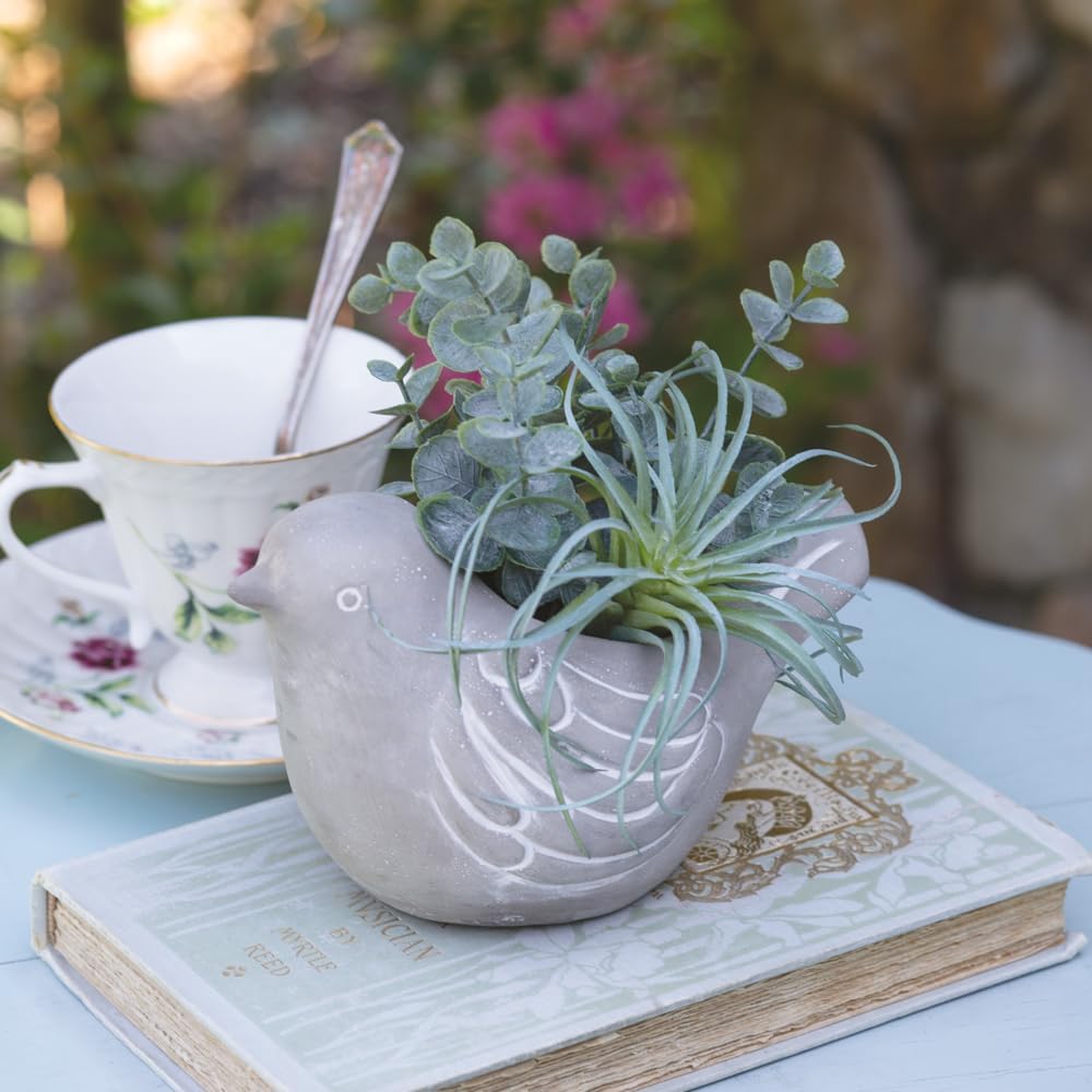Cement Bird Pot