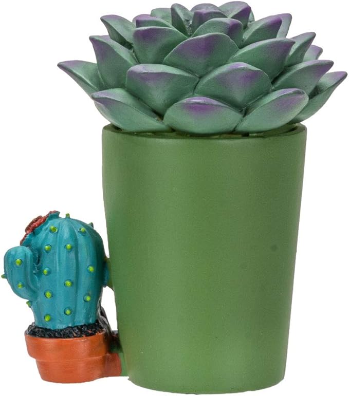 Signature Skeleton in Succulent Cactus Plant