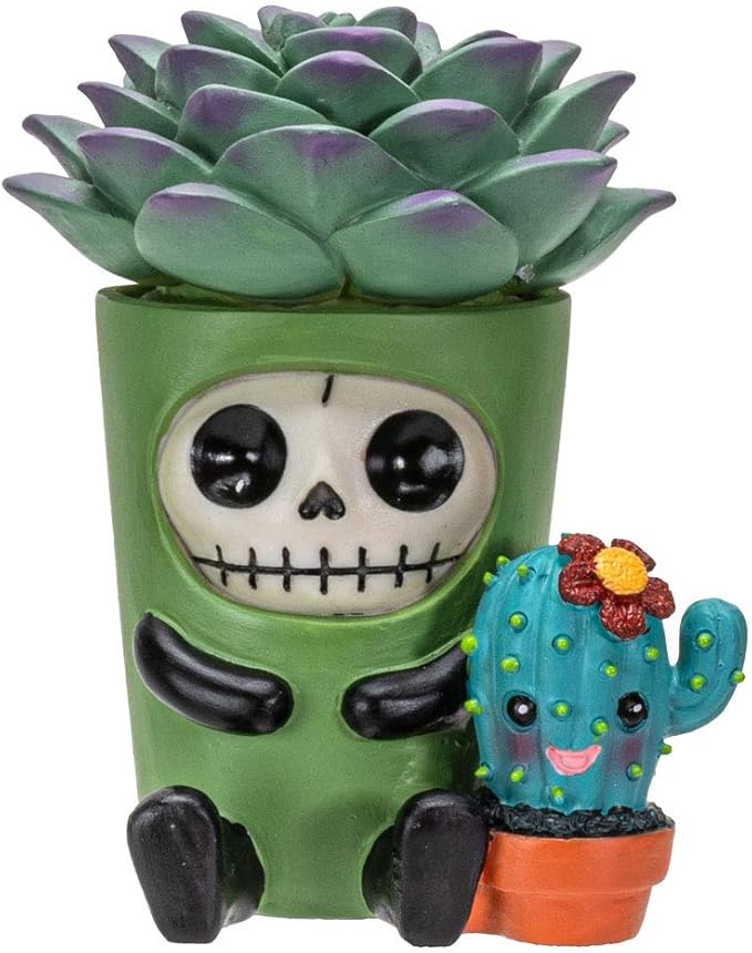 Signature Skeleton in Succulent Cactus Plant