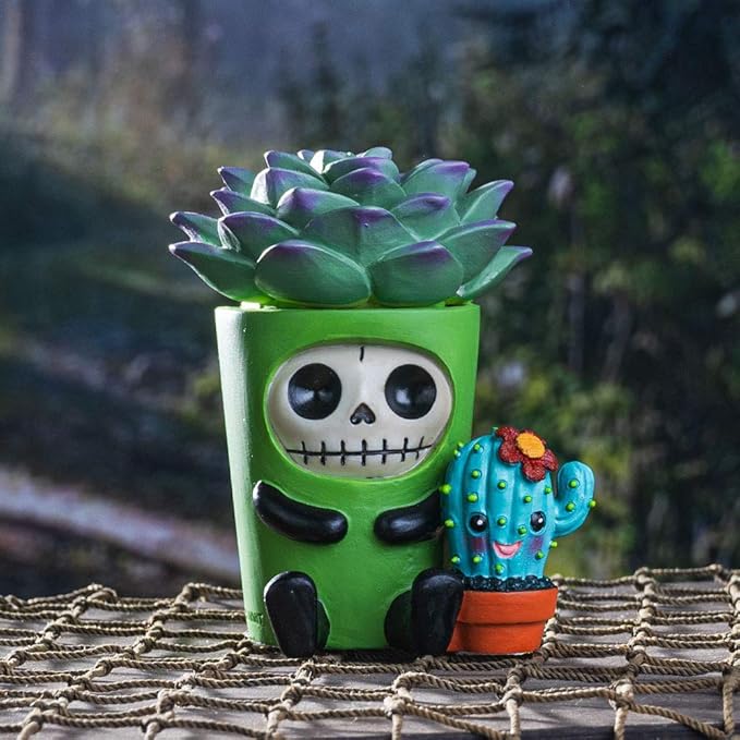 Signature Skeleton in Succulent Cactus Plant