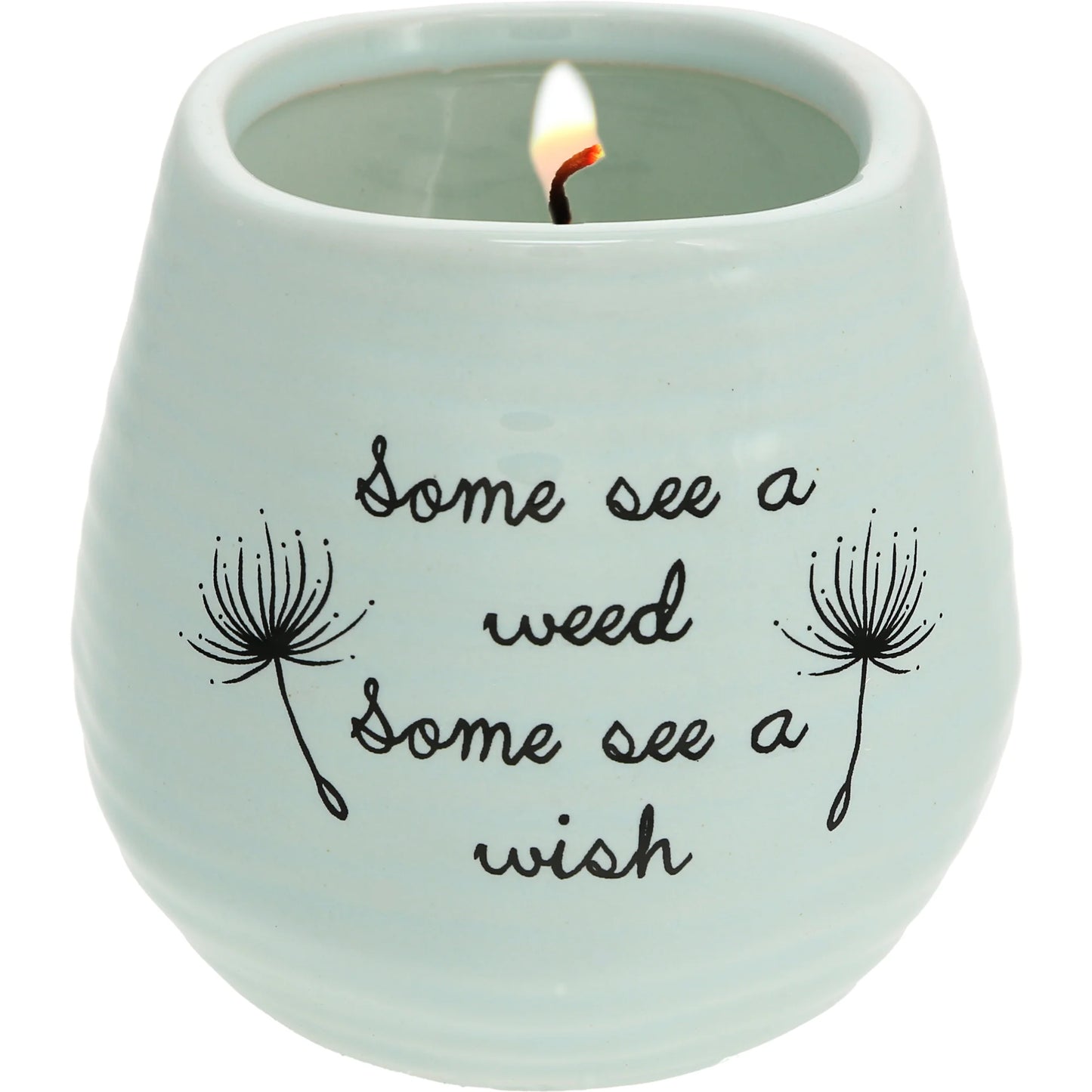 Some See a Wish 8 oz - 100% Soy Wax Candle Scent: Serenity