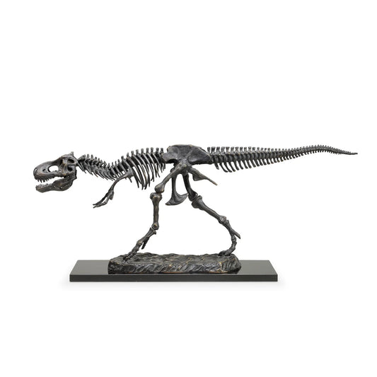 Fierce Tyrannosaurus Rex Skeleton