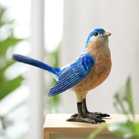 Colorful Western Bluebird