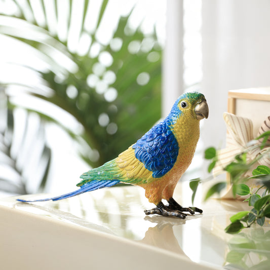 Colorful Parrot