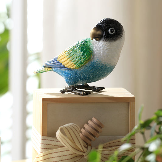 Colorful Black Headed Parrot