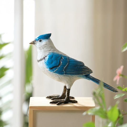 Colorful Blue Jay