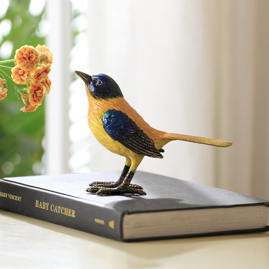 Colorful Audubon’s Oriole