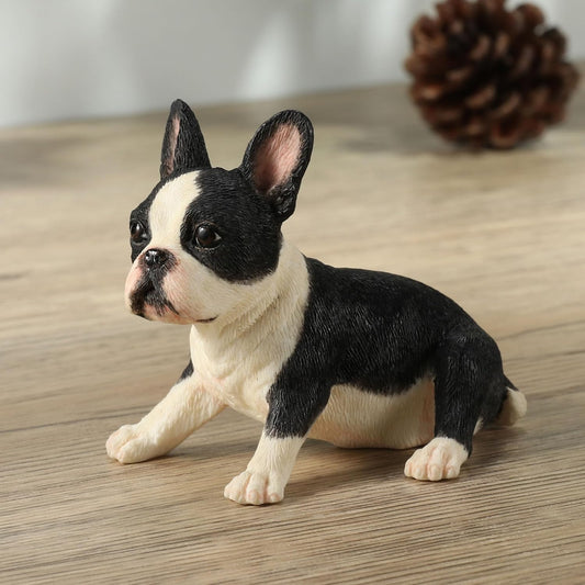 Boston Terrier Puppy