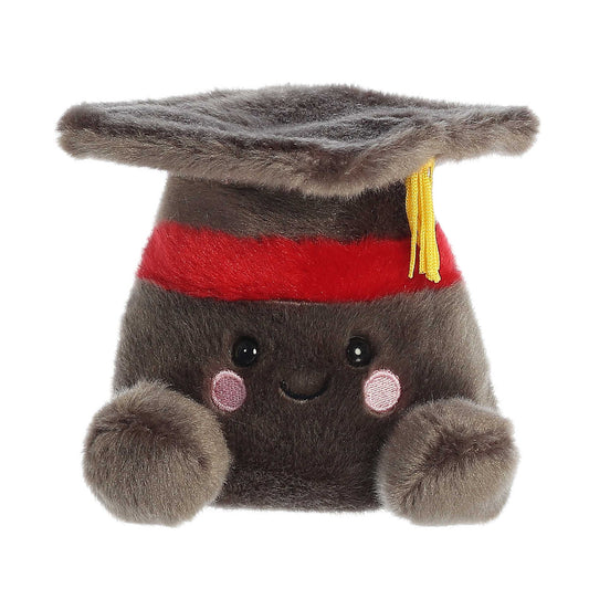 5" Scholarly Graduation Cap
